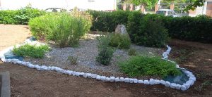 IMG-20210527-WA0006