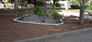 IMG-20210527-WA0007