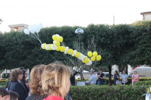 IMG_201