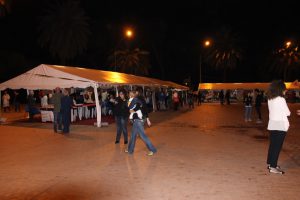 IMG_23 (3)