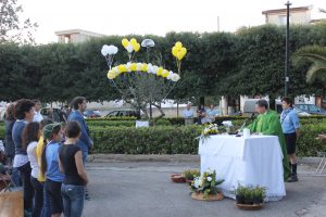 IMG_246