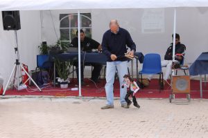 IMG_3420