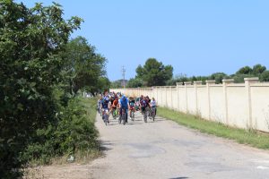 IMG_6537