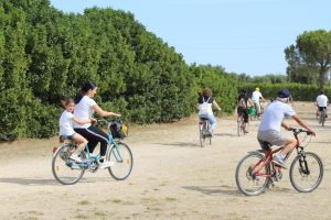 IMG_0986 - dimensioni grandi