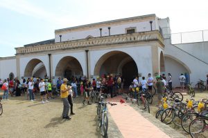 IMG_1005 - dimensioni grandi