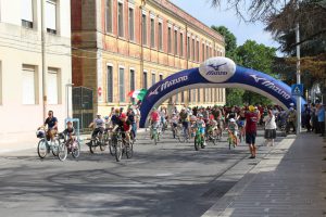 IMG_1538 - dimensioni grandi
