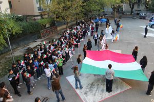 IMG_0036 - dimensioni grandi