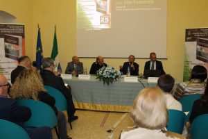 IMG_0153 - dimensioni grandi