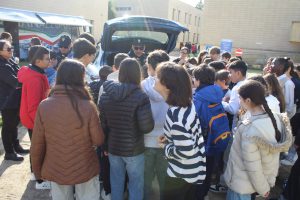 IMG_0362 - dimensioni grandi