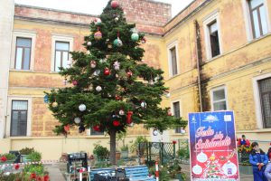 IMG_0707 - dimensioni grandi